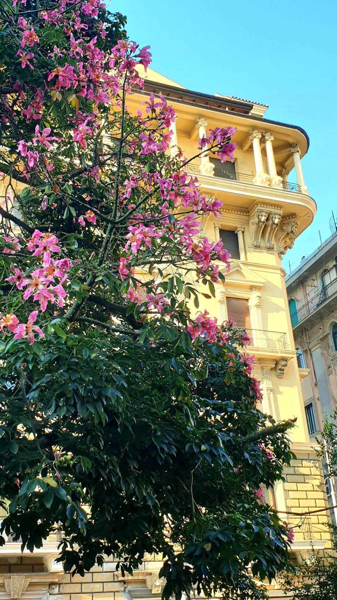 Apprendre l'italien à Salerno, Costiera Amalfitana, Italia