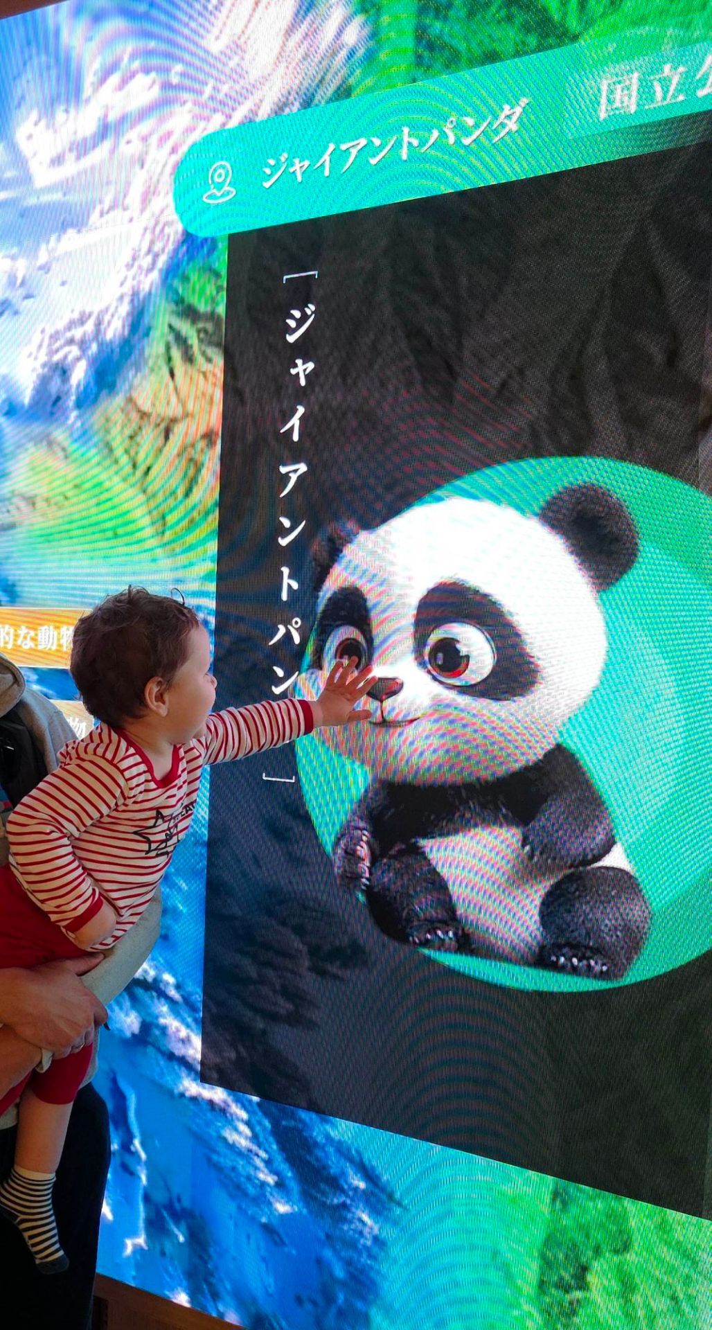 Bébé et le panda du Pavillon Chine, Expo d'Osaka