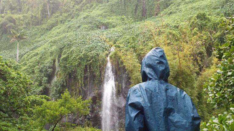Cascade sous la pluie, La Réunion